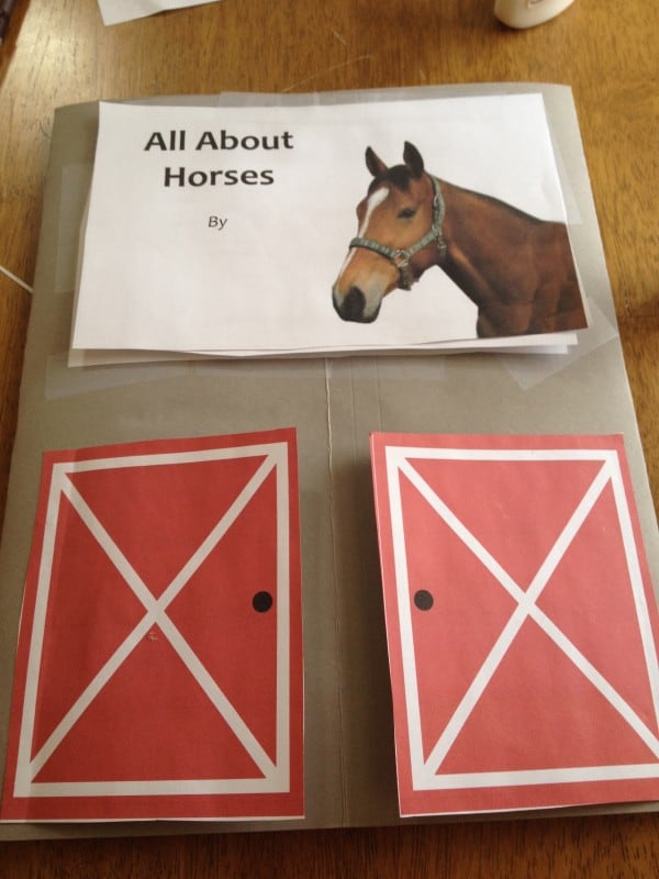 Lapbook about horses