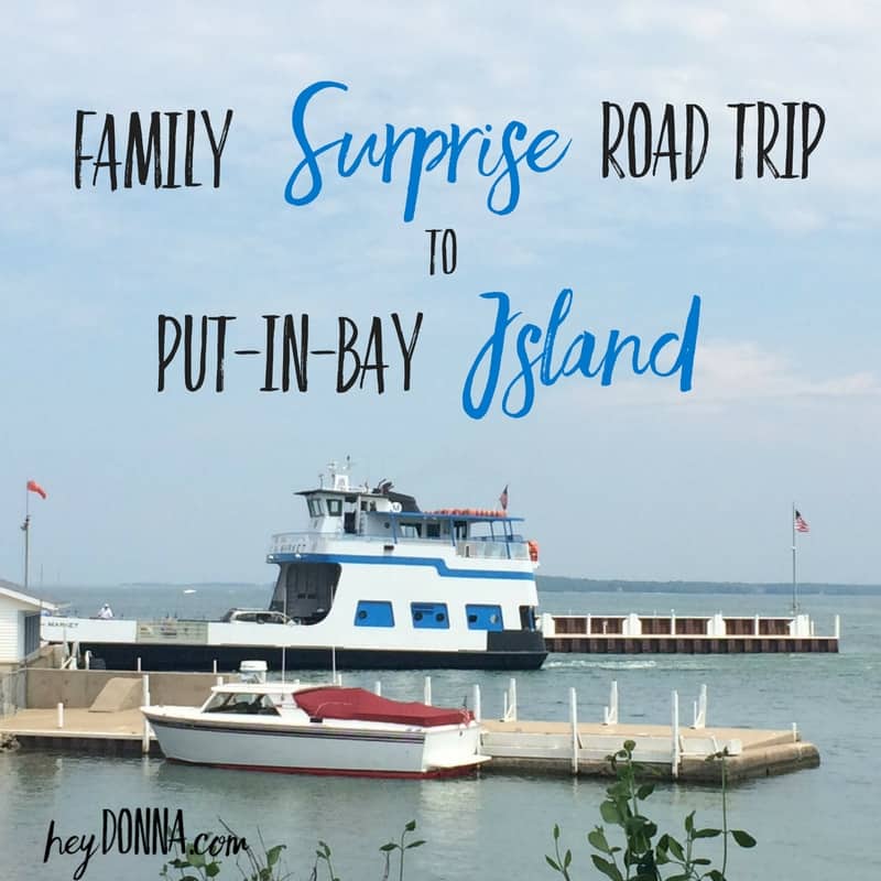 Family Surprise Put-In-Bay Island