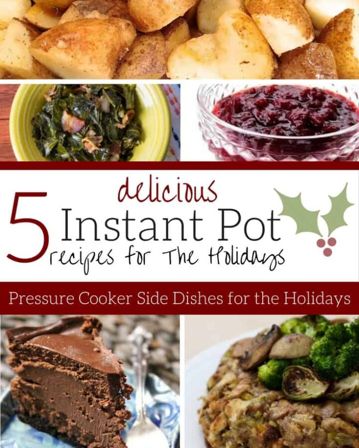 Instant Pot Recipes for Holidays
