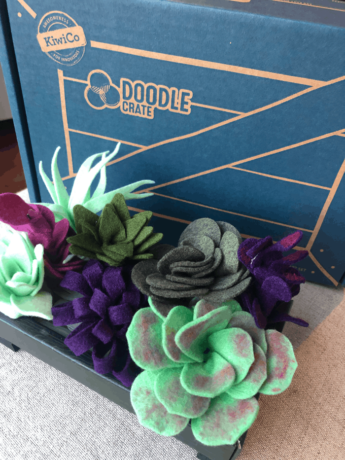 Doodle Crate: Art Subscription Box for Kids, Ages 9-16