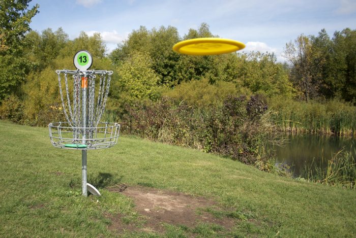 Frisbee Golf Backyard Activity for Kids