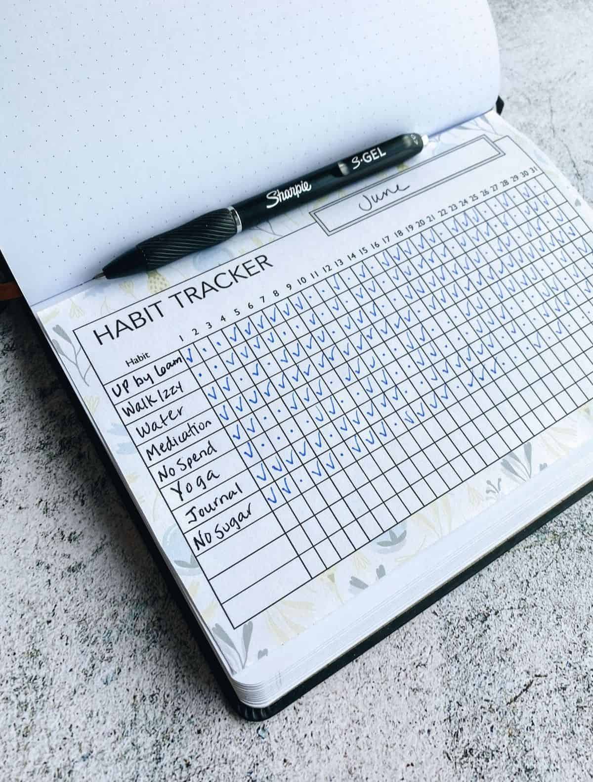 How To Create A Personalized Bullet Journal Habit Tracker That