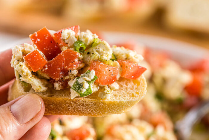 Tomato and Feta cheese dip appetizer 