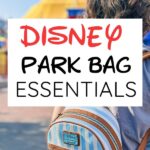 Packing list for Disney