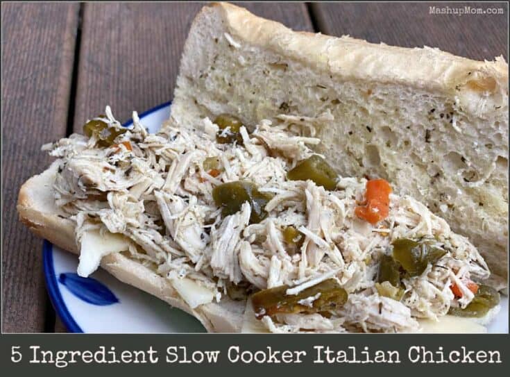 https://heydonna.com/wp-content/uploads/2023/07/slow-cooker-italian-chicken-735x543.jpg